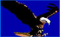 eagle 60%